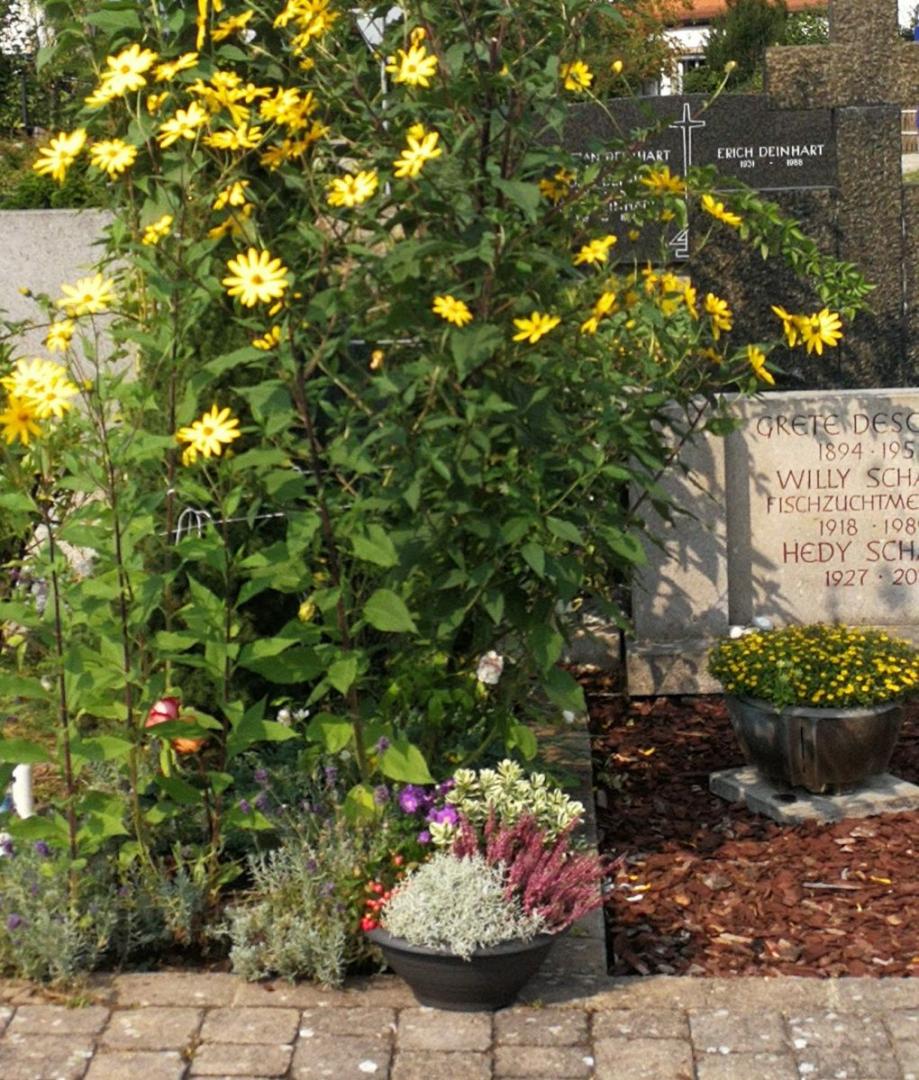 Blumenschale des bfg Erlangen vor Karlheinz Deschners Grabstelle
